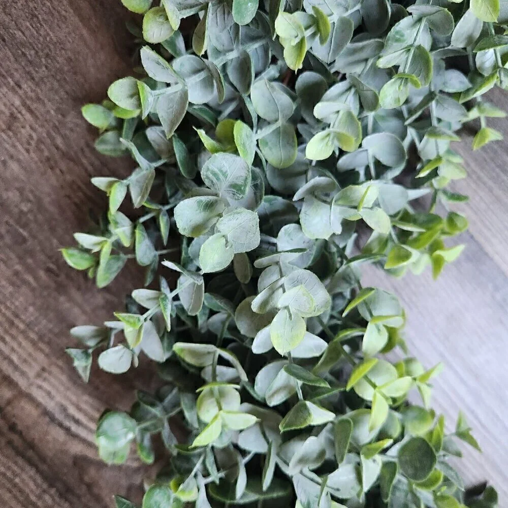 Eucalyptus Wreath 20 inches